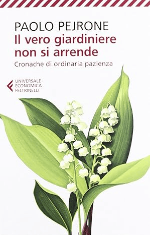 Contenuto dell’articolo
