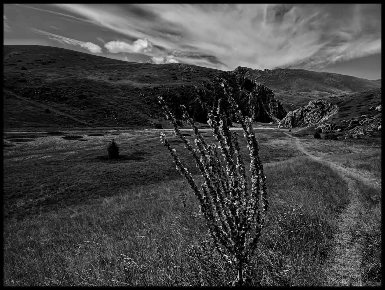 Ph. Giovanni Nacci, © 2025